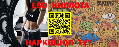 амф Можга