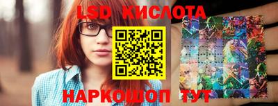 амф Можга