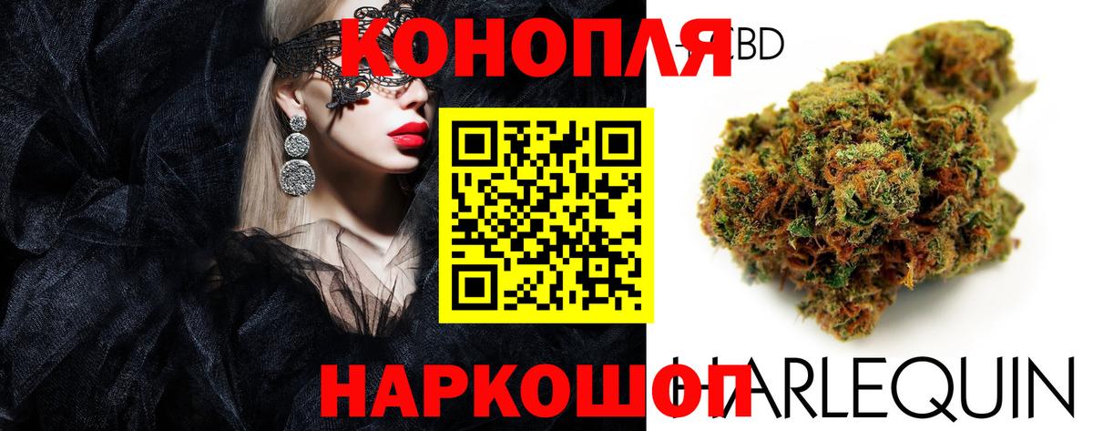 Шадринск  МАРИХУАНА MAZAR  Вход с VPN  Шишки марихуана планчик 